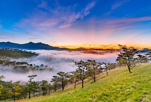 Vietnam Panorama
