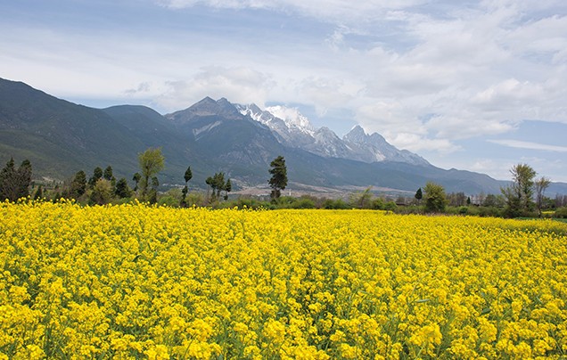Day 6: Jade Dragon Snow Mountain