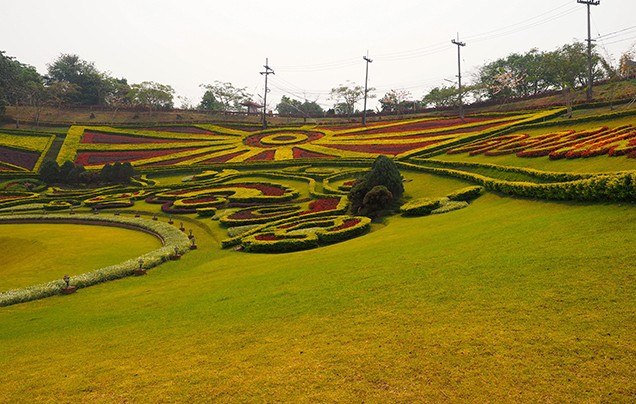 Day 7: Mae Salong Mountain
