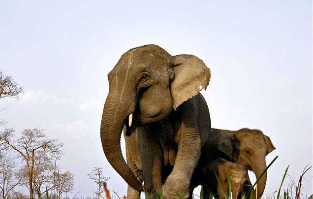 Day 9: Yala National Park