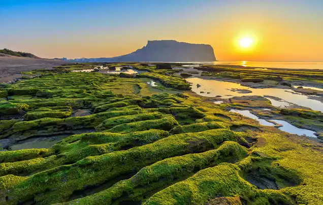 DAY 4: DEPART JEJU ISLAND