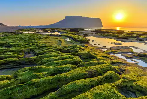 Jeju Island Extension