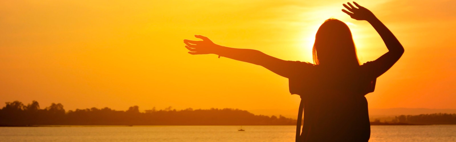 Bambu Club Terms & Conditions