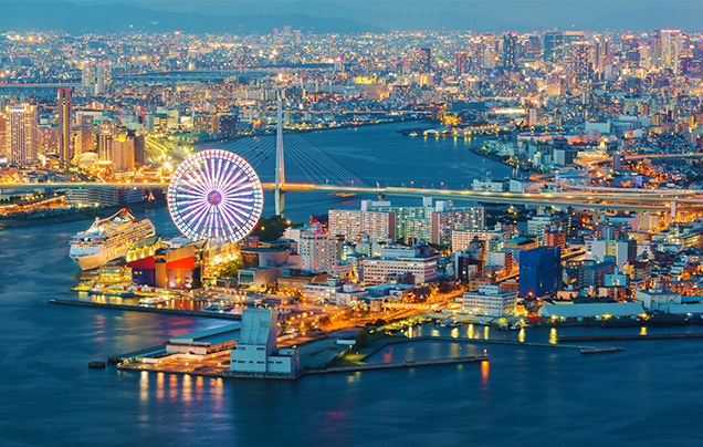 DAY 13: Depart Osaka