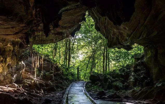 DAY 13: Sandakan to Kota Kinabalu