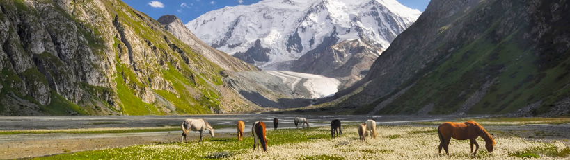 Introduction to Central Asia