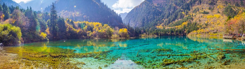 Independent Travel made easy