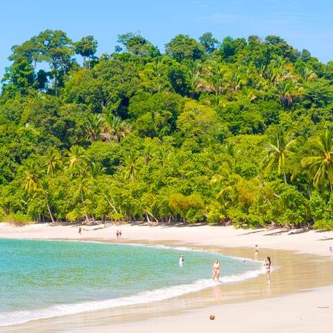 MANUEL ANTONIO