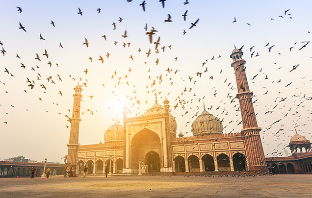 Day 2: Discover Delhi