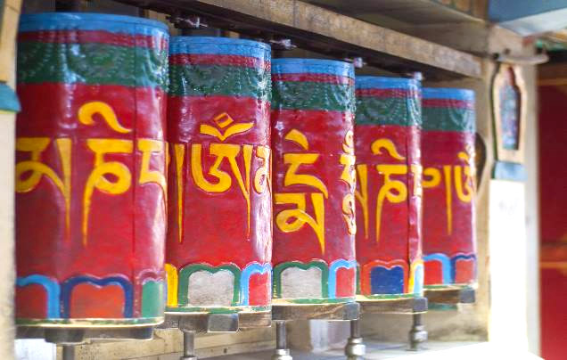 Day 6: Explore Dharamshala