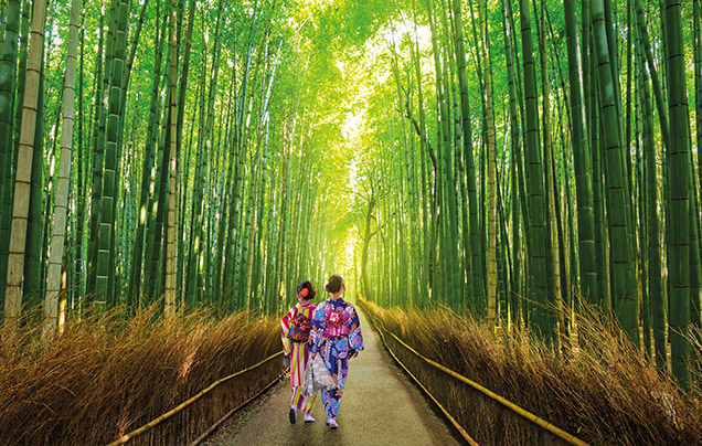 DAY 3: Arashiyama Bamboo Forest