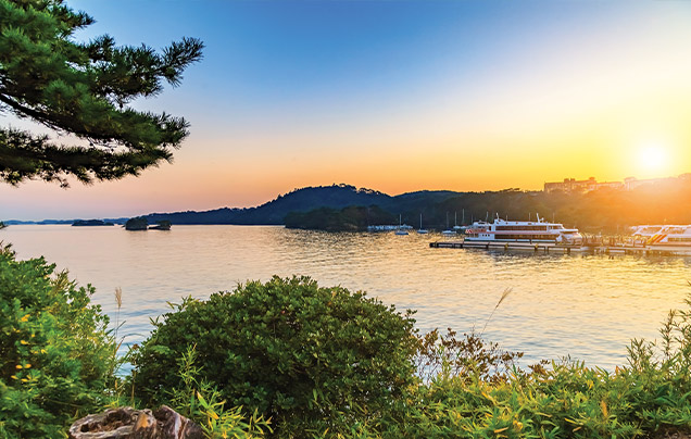 DAY 6: Cruise Matsushima Bay