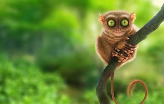 DAY 11: Bohol Countryside Tour