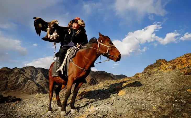 Watch Golden Eagle Hunting