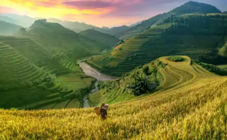 Discover the Hapao Rice Terraces