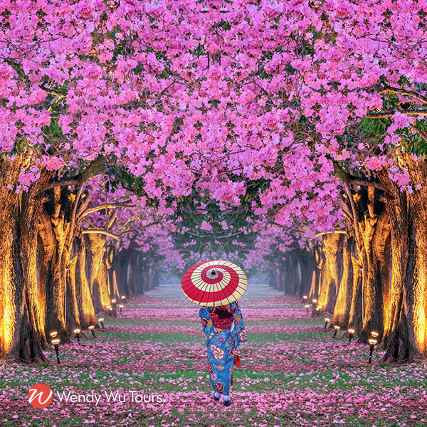 Celebrate with our Japan reopening event