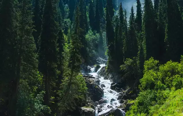 DAY 5: Barskoon Gorge