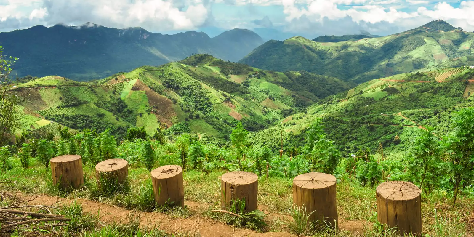 Things to do In Myanmar