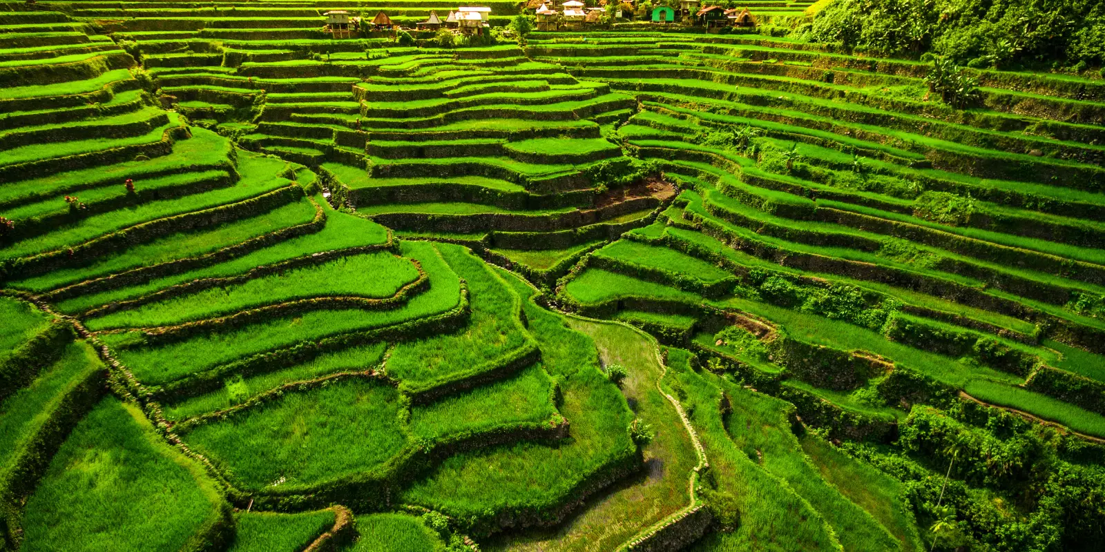 Banaue
