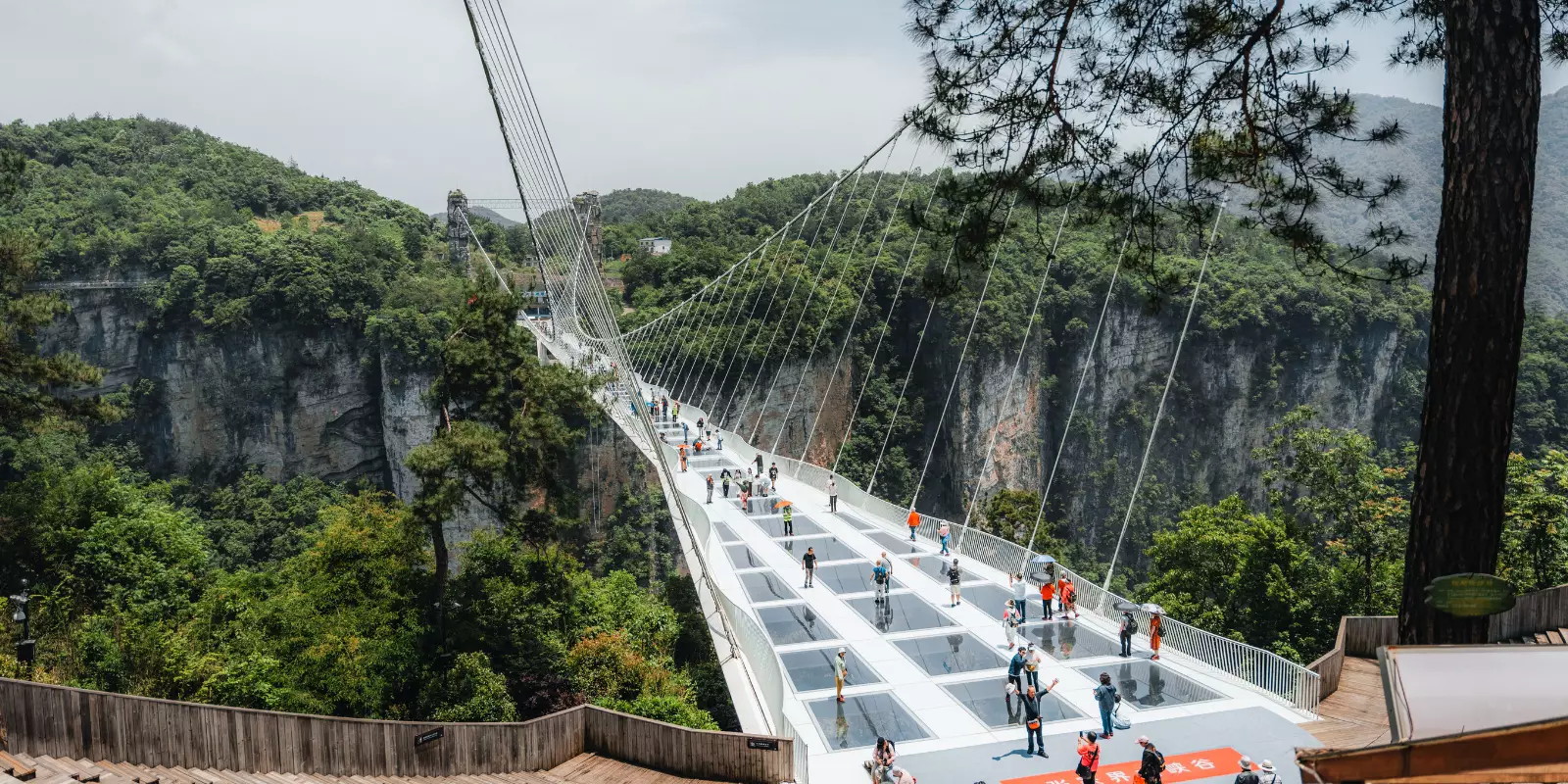 Grand Canyon Glass Bridge 