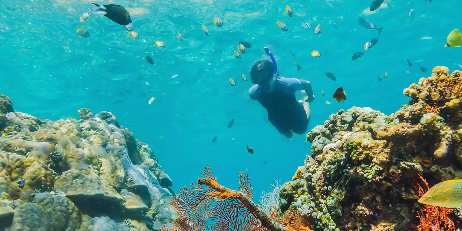 Great Barrier Reef Holidays