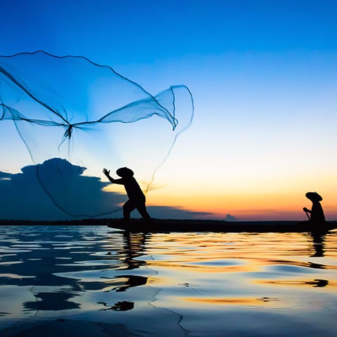 Mekong Delta