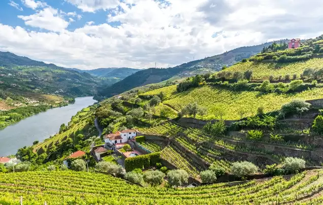 Day 6: Douro Valley by water and rail