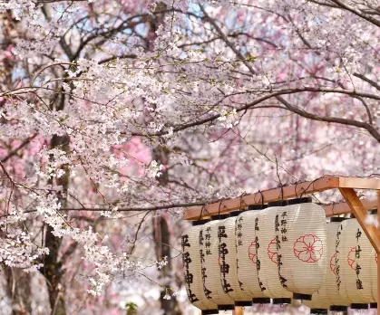 Best of Japan