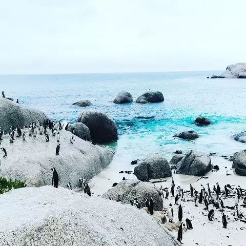 Boulders Beach
