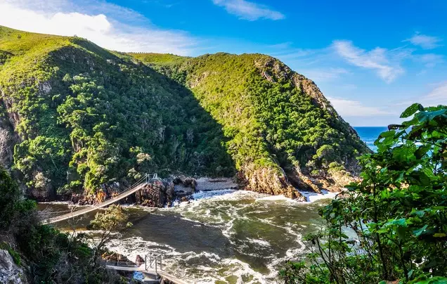Day 7: Garden Route