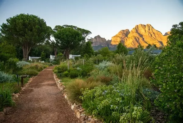 Day 12: The Winelands