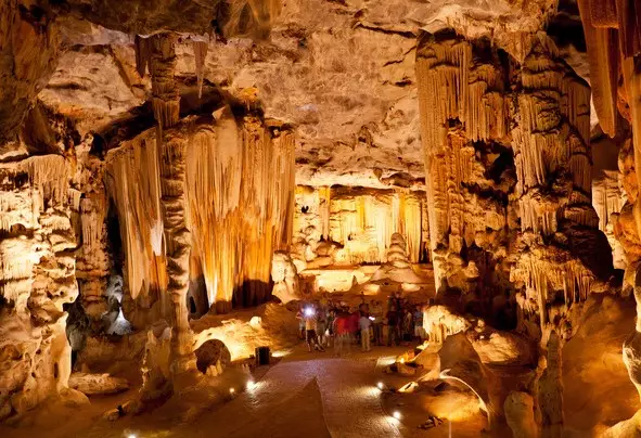 Day 9: Knysna to Cape Town