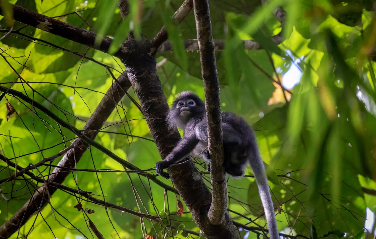 Day 11: Khao Sok National Park Hike