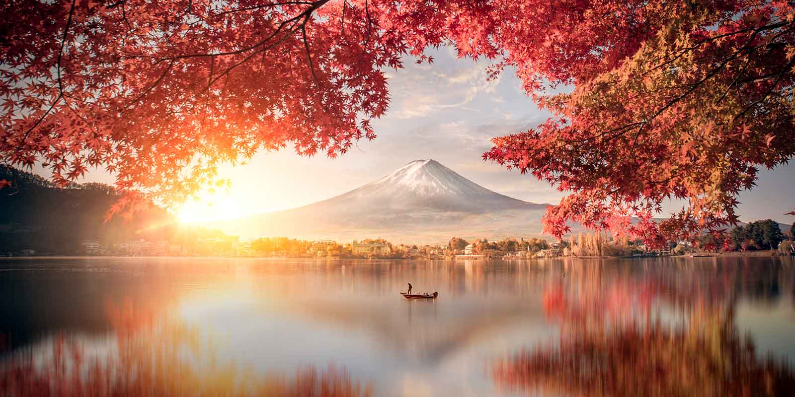 Cruise & Tour Holidays