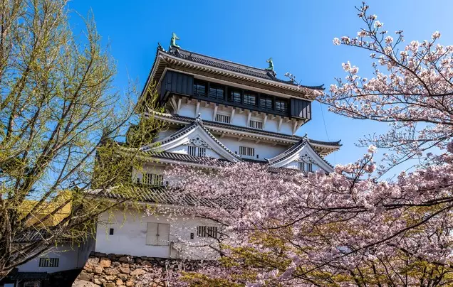 Day 11: Cruise - Kitakyushu