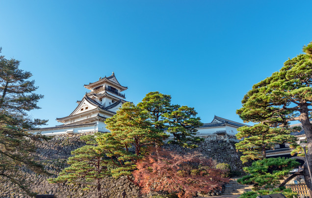 Day 12: Cruise –  Kochi