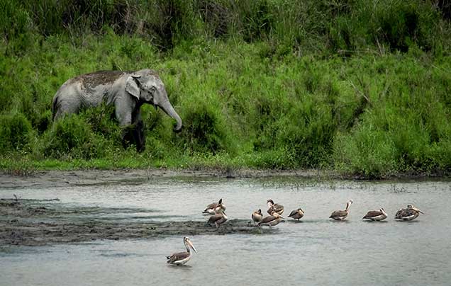 Day 12: Biswanath Village