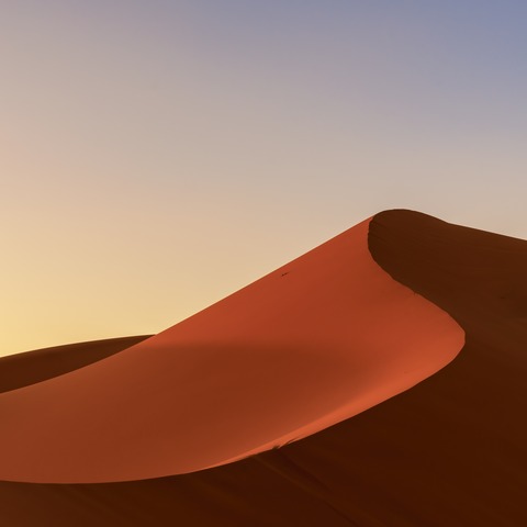 Explore the Sahara Desert