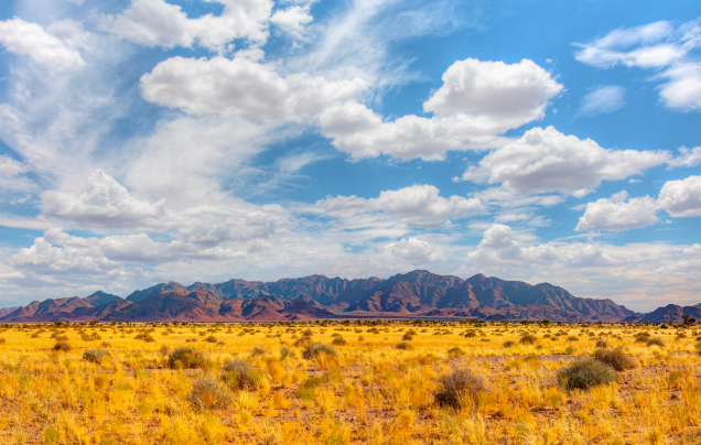 Day 6: Travel to Damaraland