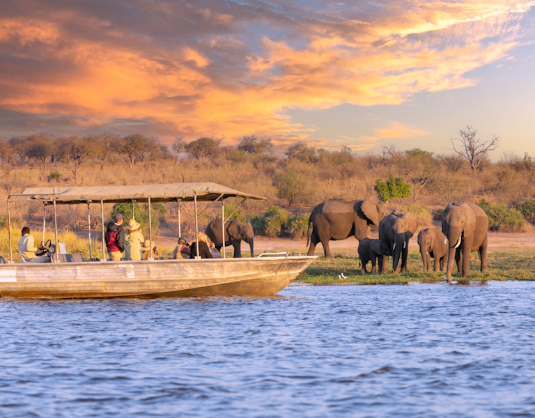 Chobe River Cruise