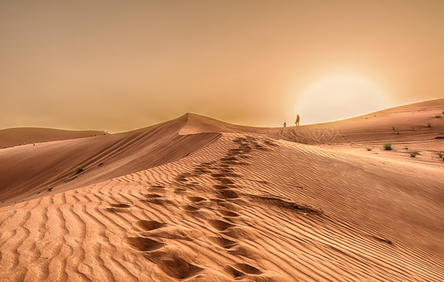 Day 2: Discover Abu Dhabi