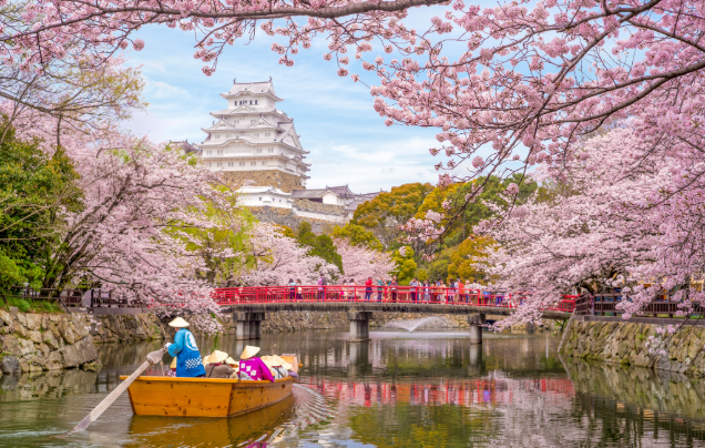 Day 14: Cruise - Osaka (Kyoto)