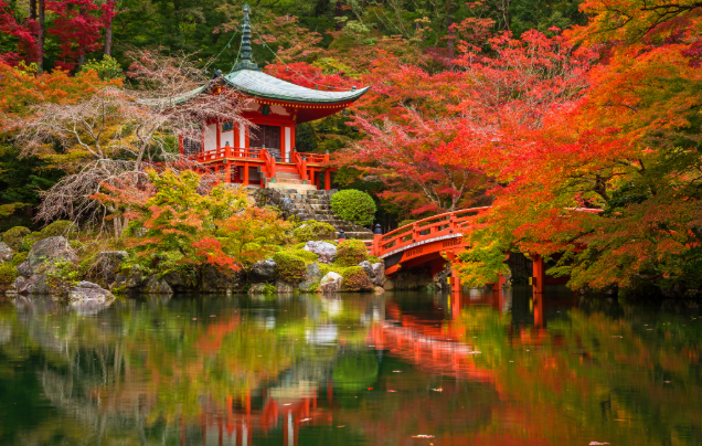 Day 19: Cruise – Osaka (Kyoto)