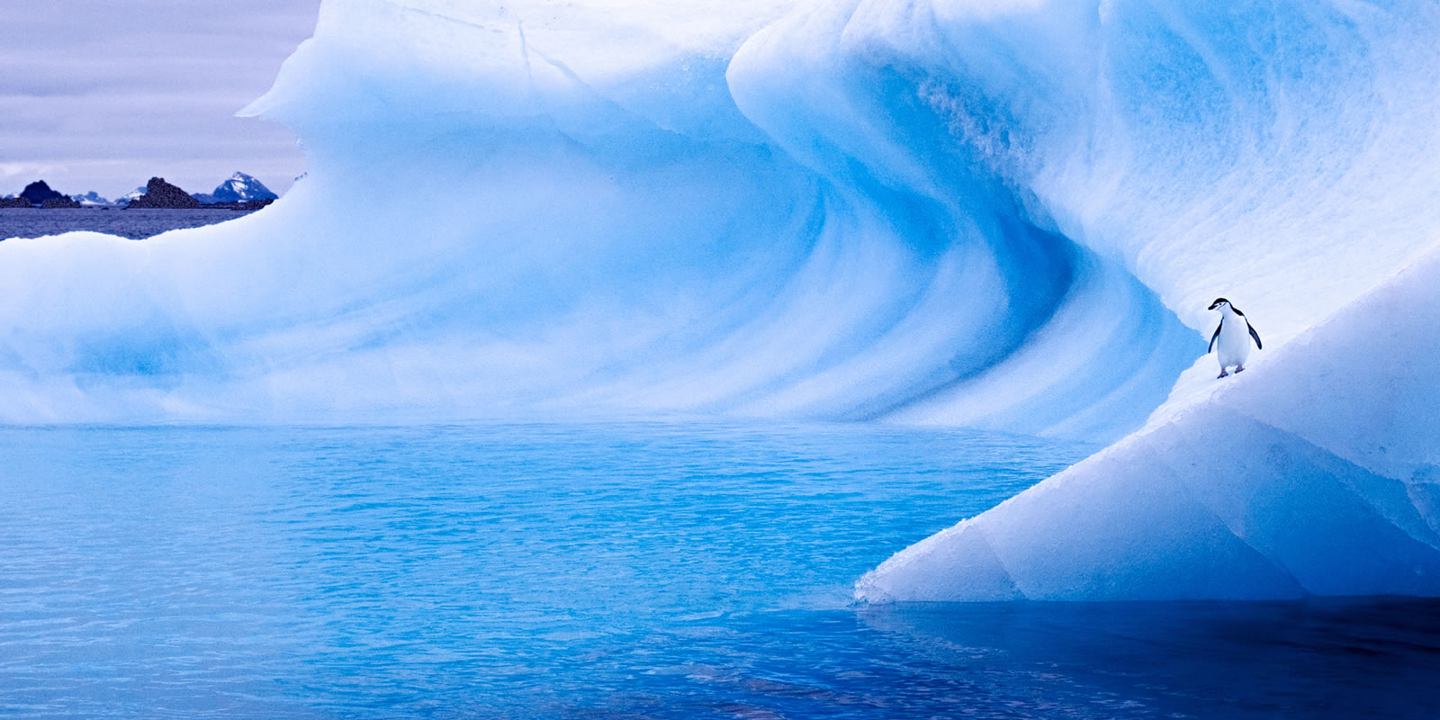 Antarctica Cruise Holidays