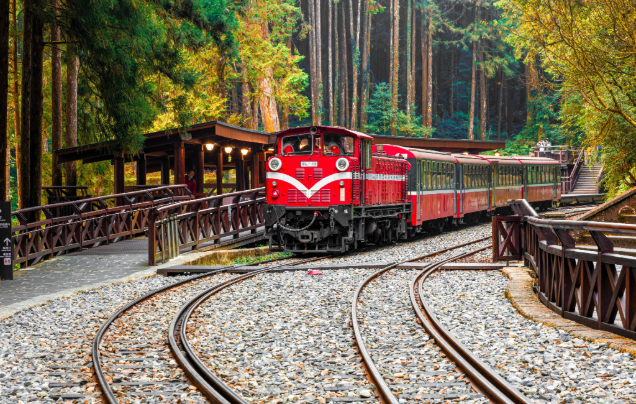 Day 6: Board the Forest Train