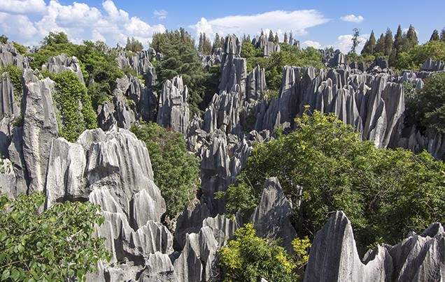 Day 2: Discover the Stone Forest