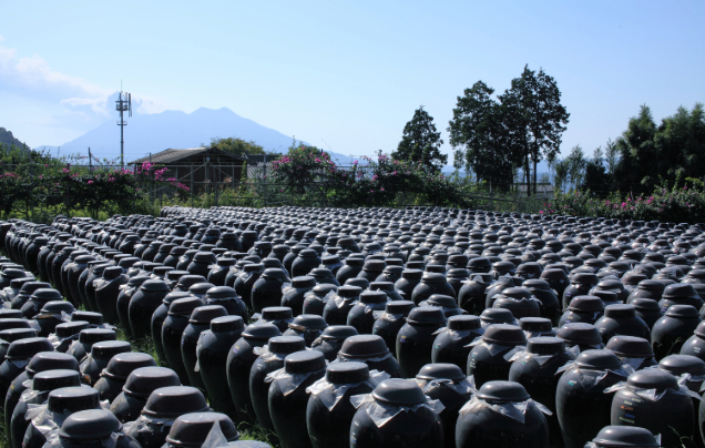 Day 9: Flavours of Kagoshima