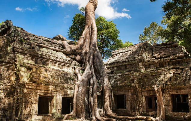 Day 7: Explore Angkor