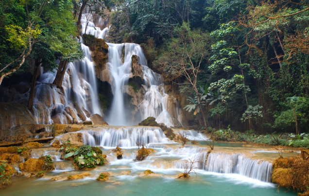 Day 5: Luang Prabang & Kuang Si Waterfall