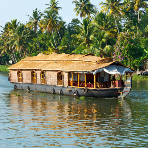Explore Kerala's backwaters